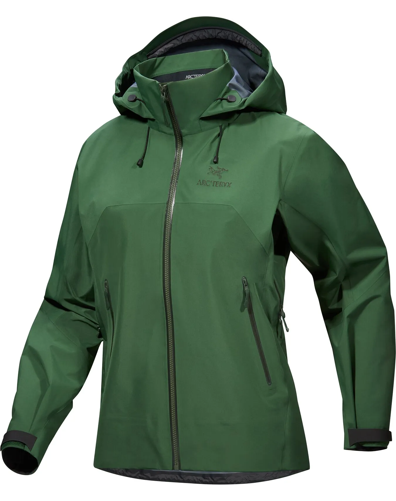 Arcteryx Beta AR Women's