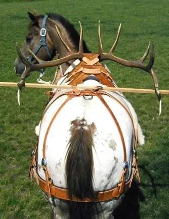 Bitterroot Sawbuck Pack Saddles