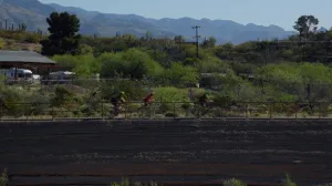 Cyclists Riding in Tucson